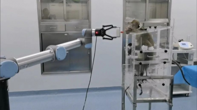 如何從專利角度分析腦機接口技術？